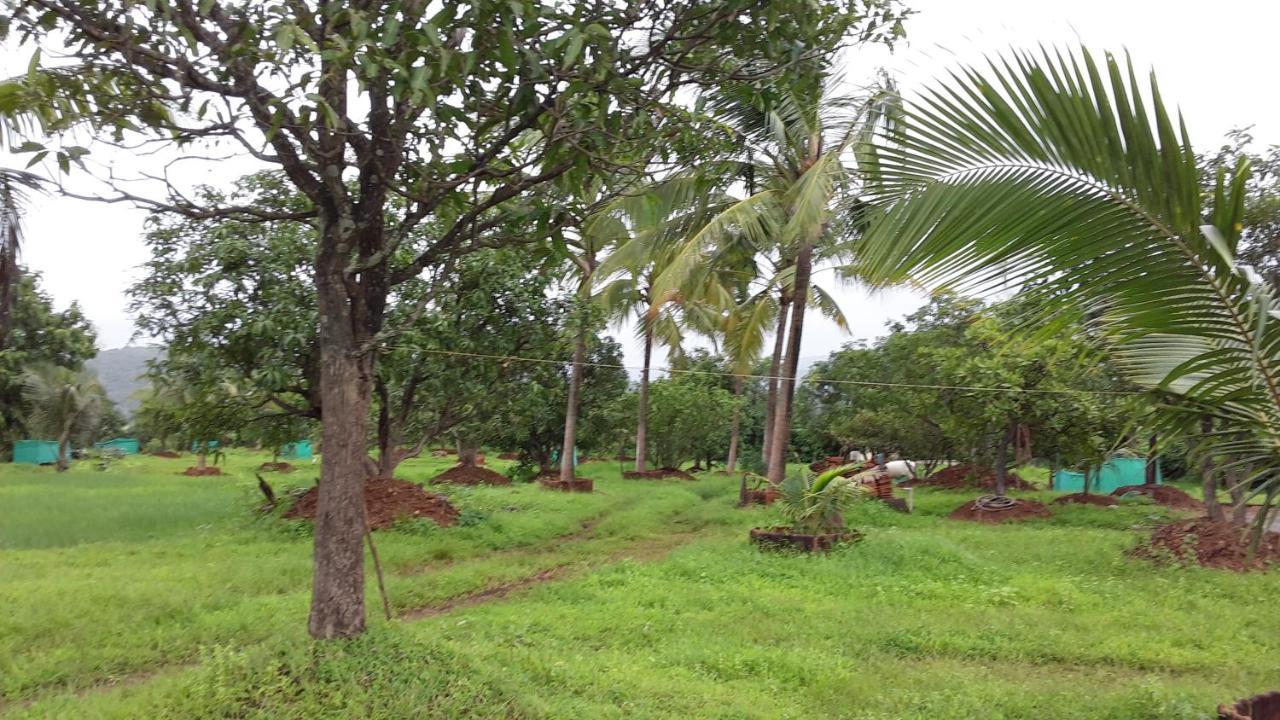 Shree Samarth Farmhouse Murūd المظهر الخارجي الصورة