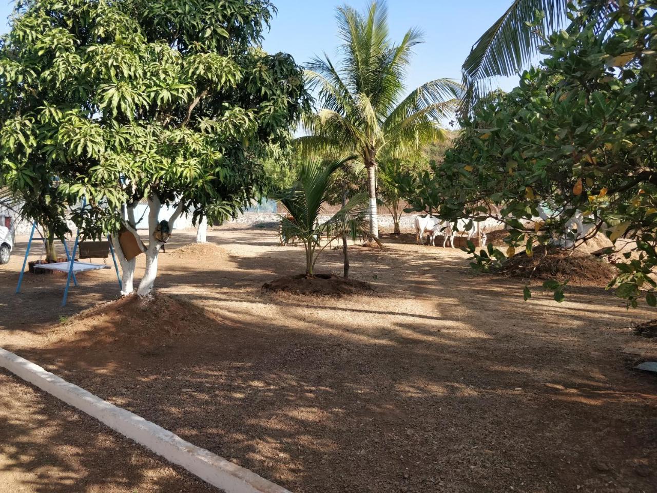 Shree Samarth Farmhouse Murūd المظهر الخارجي الصورة