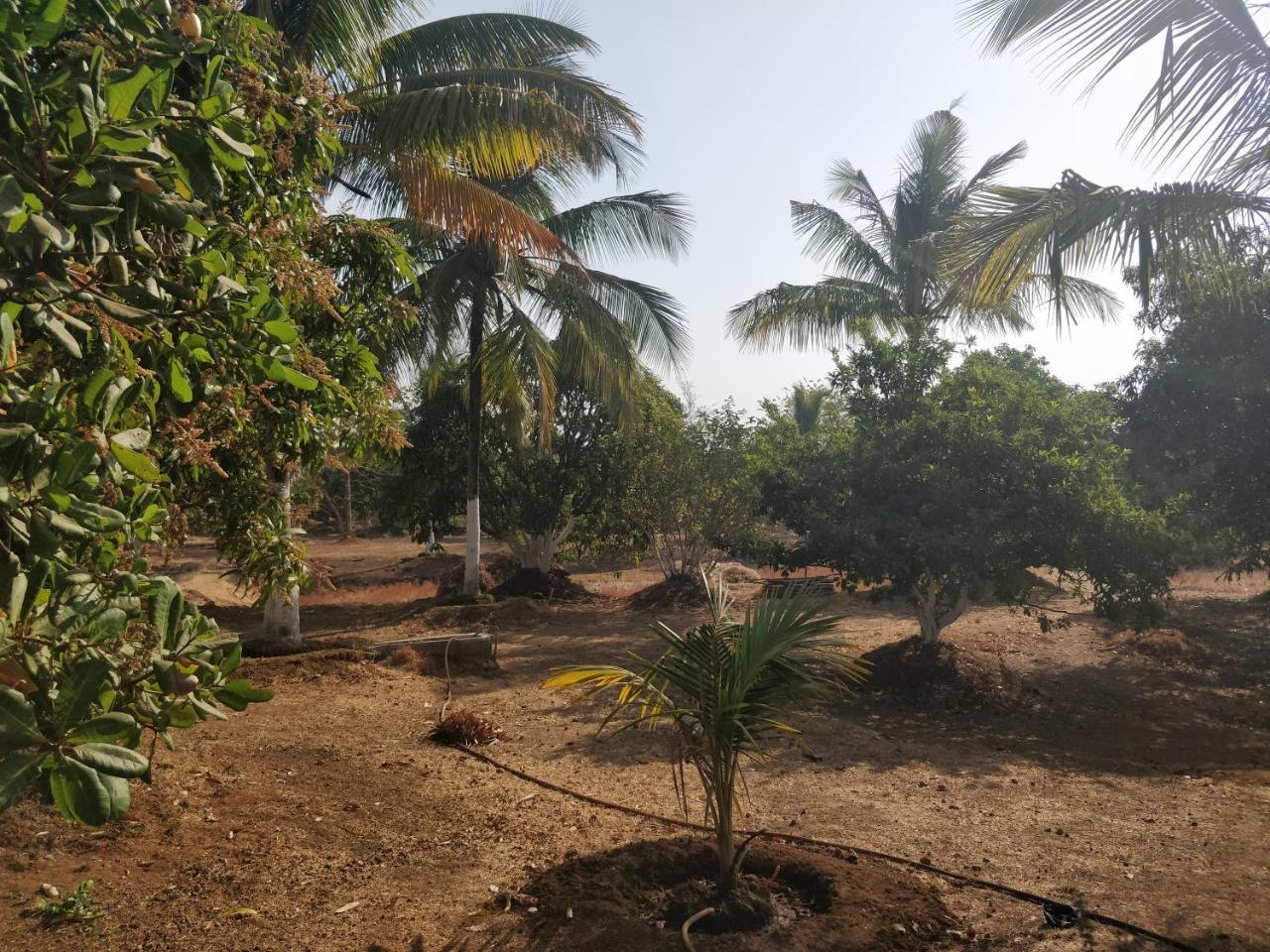 Shree Samarth Farmhouse Murūd المظهر الخارجي الصورة